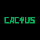 Cactus Casino Uzbekistan